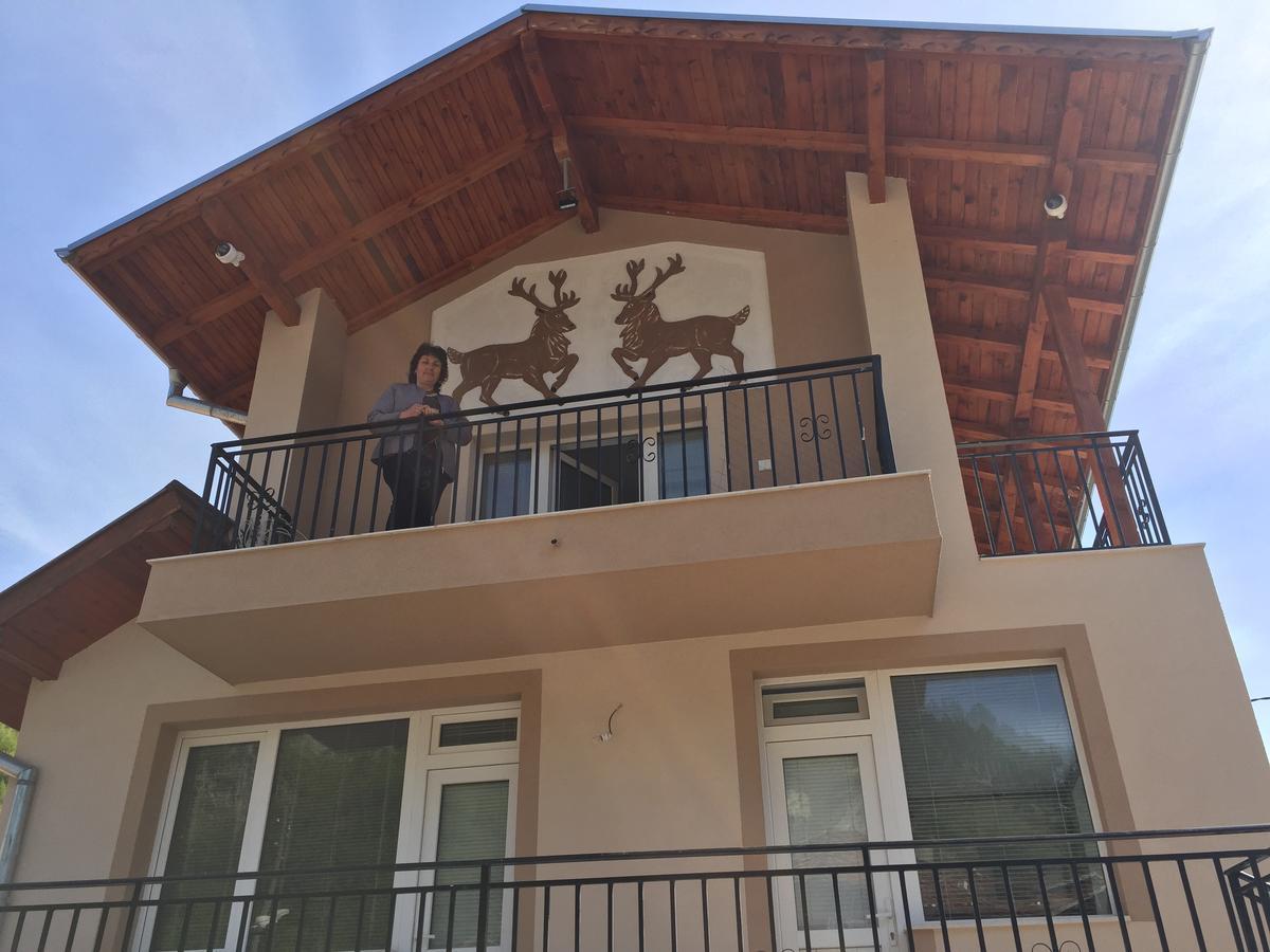 Elenite Guesthouse Gotse Deltjev Exteriör bild